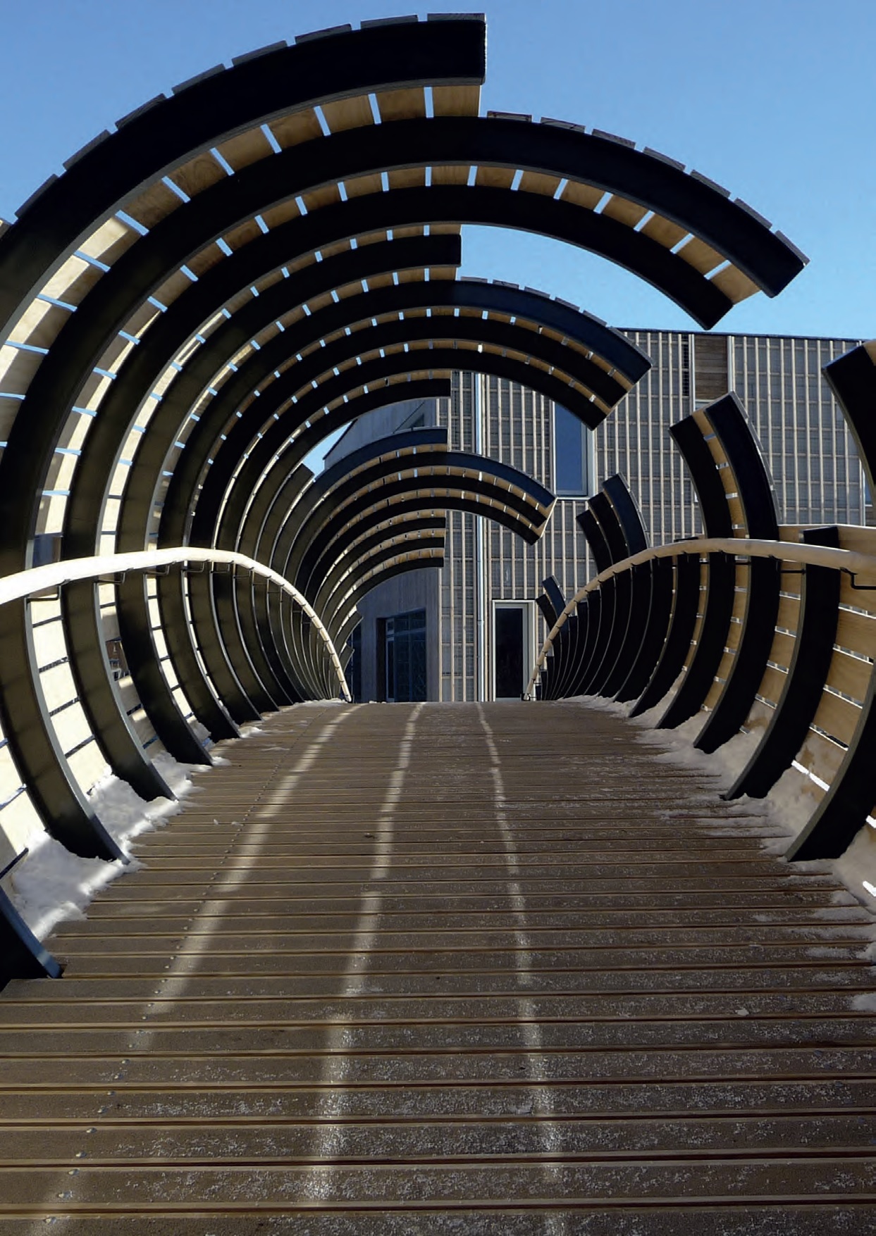 Ecological school in the Netherlands using Accoya wood